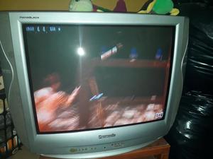 Vendo Televisor en Perfecto Estado