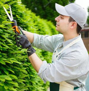 Necesitas Un Jardinero?