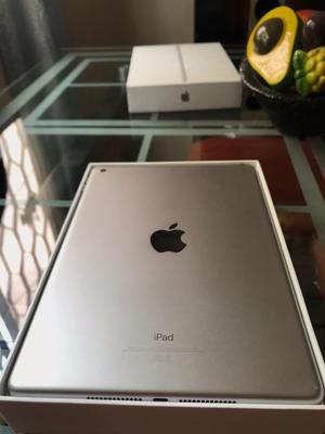 iPad Gb Wifi 5 Generacion Usada
