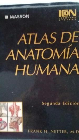 Atlas de anatomía Humana de Netter 2 Edición