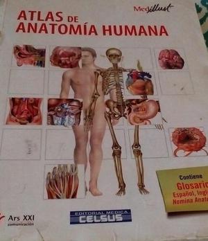 Atlas de anatomia humana 695 paginas