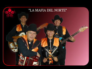 Agrupación musical LA MAFIA DEL NORTE