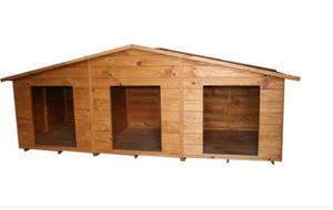 Casas en Madera para Perritos