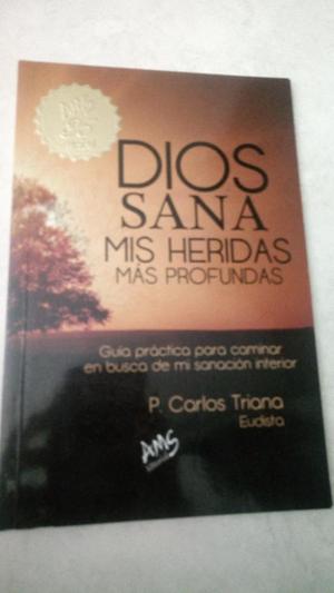 Dios Sana Mis Heridas Mas Profundas