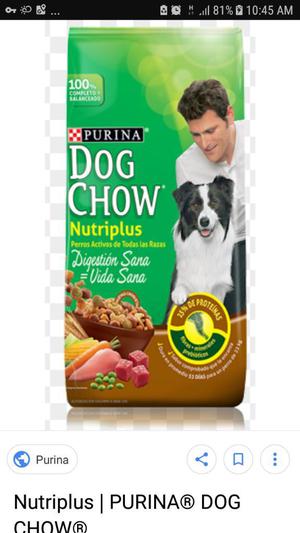 Dog Chow Nutriplus Adultos