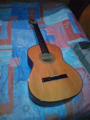 Guitarra Acústica Forro