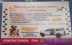 Se Ofrece El Servicio de Peluqueria Can