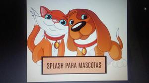 Splahs para Mascotas 