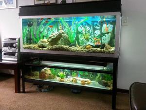 Vendo Acuario