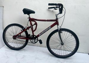Bicicleta Adulto