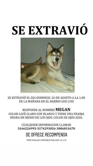 Loba Extraviada