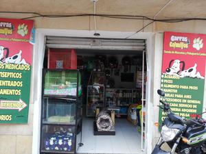 Vendo Pet Shop