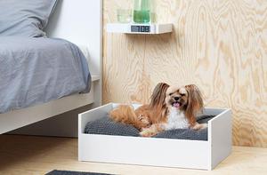 camas para perros y gatos mascotas diseño novedoso