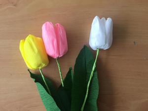 Tulipanes en papel en todos los colores