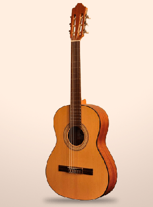 Guitarra Acústica