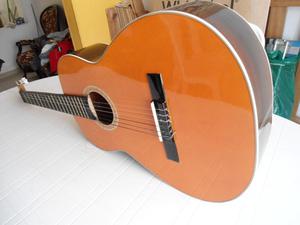 Guitarra acustica