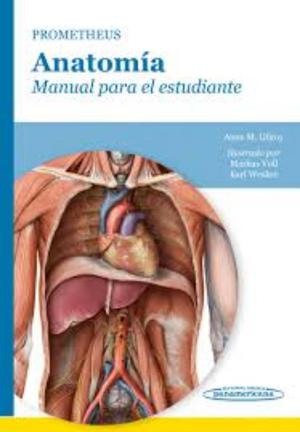 Libro de Anatomia