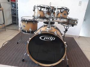 PDP PACIFIC FS All Birch SHELL