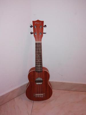 Ukulele nuevo