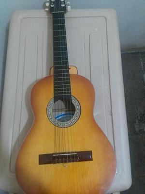 Guitarra unica para nios