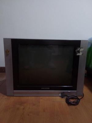 TELEVISOR CHALLENGER 21''