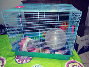 Casa para Hamster