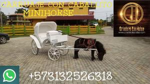Vendo Carruaje con Caballlito Minihorse