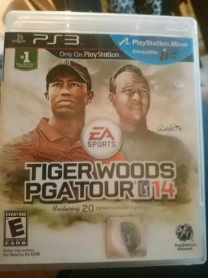 Golf Tiger Woods Play 3