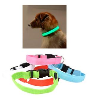 Collar Led para Mascota