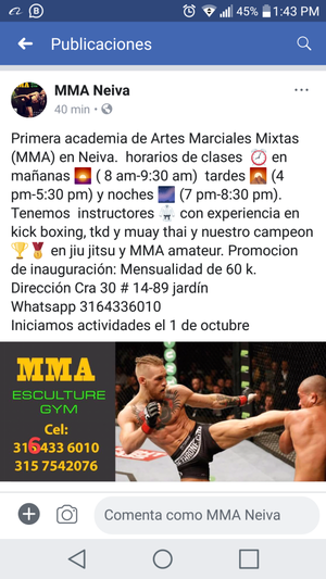 Artes Marciales Mixtas MMA