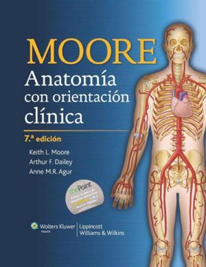 Anatomia de Moore 7ma Edición