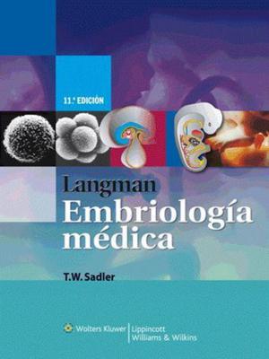 Embriología Langman 11 Edición. Onceava