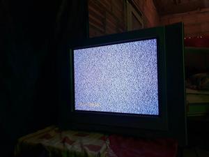 Televisor Sony 21 Pulgadas