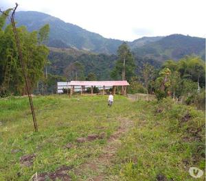 Se vende o se permuta finca Santo domingo