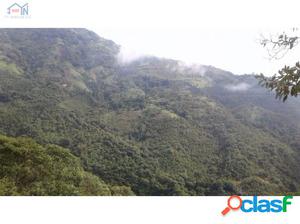 Se vende finca en Porce vereda San Pablo Antioquia