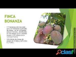 VENTA DE FINCA PRODUCTIVA