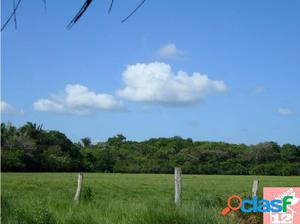 FINCA EN TAME ARAUCA, SE VENDE.