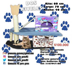 Gimnasios para gatos