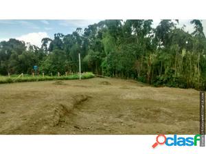 LOTE EN CIRCASIA