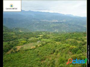 SE VENDE LOTE EN LA MESA CUNDINAMARCA