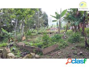 VENDO GRANJA URBANA EN CHINACOTA