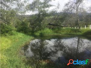 Venta Finca en Pacho Cundinamarca 9 Fanegadas