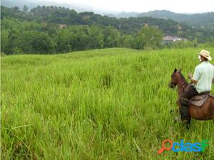 Venta de Finca - Las Margaritas - Caldas.