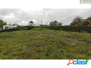 Venta de lote Armenia Corregimiento El Caimo 5454