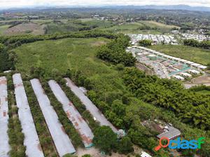 VENTA DE FINCA EN EL CAIMO, ARMENIA, QUINDIO