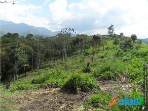 VENTA DE LOTE EN CALDAS ANTIOQUIA.