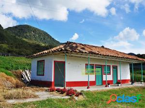 FINCA VIA SAN ANTONIO LA CEJA