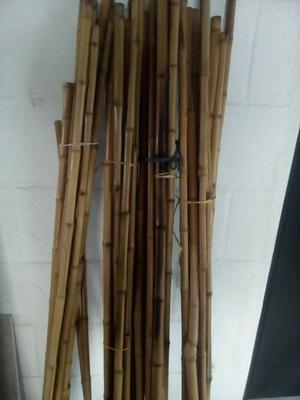 Vendo 40 Varas de Bamboo Decorativas