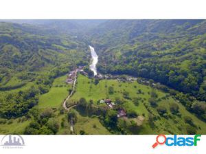 VENDO FINCA GANADERA EN QUIMBAYA