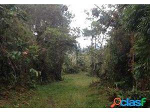 Vendo Finca Santuario Antioquia se puede parcelar